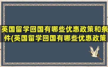 英国留学回国有哪些优惠政策和条件(英国留学回国有哪些优惠政策和补贴)