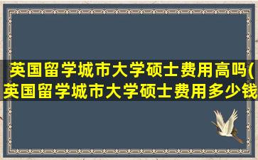 英国留学城市大学硕士费用高吗(英国留学城市大学硕士费用多少钱)