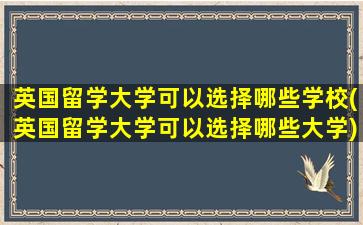 英国留学大学可以选择哪些学校(英国留学大学可以选择哪些大学)