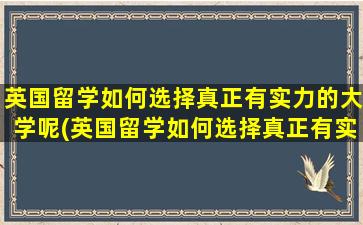 英国留学如何选择真正有实力的大学呢(英国留学如何选择真正有实力的大学专业)