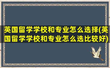 英国留学学校和专业怎么选择(英国留学学校和专业怎么选比较好)