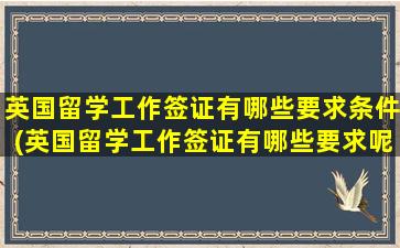 英国留学工作签证有哪些要求条件(英国留学工作签证有哪些要求呢)