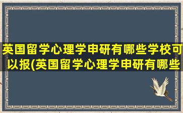 英国留学心理学申研有哪些学校可以报(英国留学心理学申研有哪些学校可以申请)