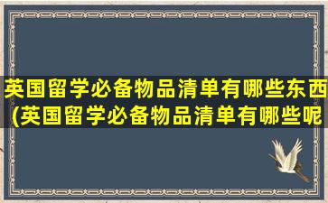 英国留学必备物品清单有哪些东西(英国留学必备物品清单有哪些呢)