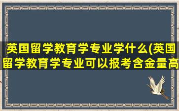 英国留学教育学专业学什么(英国留学教育学专业可以报考含金量高的证书)