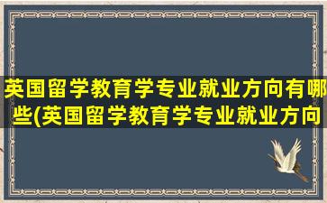 英国留学教育学专业就业方向有哪些(英国留学教育学专业就业方向怎么样)