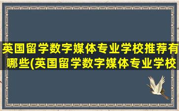 英国留学数字媒体专业学校推荐有哪些(英国留学数字媒体专业学校推荐排名)