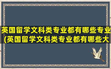 英国留学文科类专业都有哪些专业(英国留学文科类专业都有哪些大学)