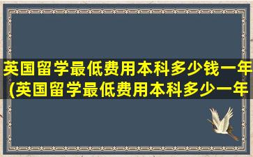 英国留学最低费用本科多少钱一年(英国留学最低费用本科多少一年)