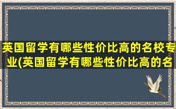 英国留学有哪些性价比高的名校专业(英国留学有哪些性价比高的名校)