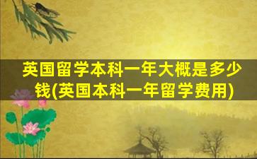 英国留学本科一年大概是多少钱(英国本科一年留学费用)