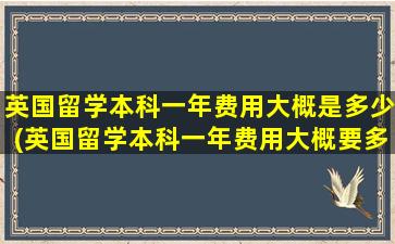 英国留学本科一年费用大概是多少(英国留学本科一年费用大概要多少)