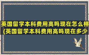 英国留学本科费用高吗现在怎么样(英国留学本科费用高吗现在多少)