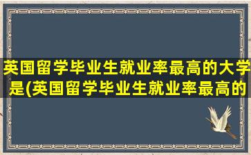 英国留学毕业生就业率最高的大学是(英国留学毕业生就业率最高的大学是哪个)