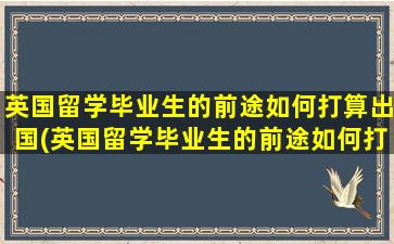 英国留学毕业生的前途如何打算出国(英国留学毕业生的前途如何打算工资)