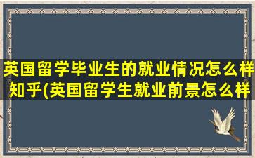 英国留学毕业生的就业情况怎么样知乎(英国留学生就业前景怎么样-)