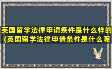 英国留学法律申请条件是什么样的(英国留学法律申请条件是什么呢)