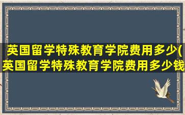 英国留学特殊教育学院费用多少(英国留学特殊教育学院费用多少钱)