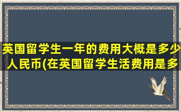 英国留学生一年的费用大概是多少人民币(在英国留学生活费用是多少)