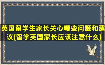 英国留学生家长关心哪些问题和建议(留学英国家长应该注意什么)