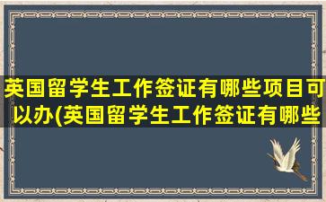 英国留学生工作签证有哪些项目可以办(英国留学生工作签证有哪些项目可以申请)