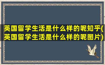 英国留学生活是什么样的呢知乎(英国留学生活是什么样的呢图片)