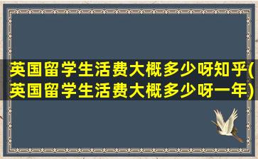 英国留学生活费大概多少呀知乎(英国留学生活费大概多少呀一年)