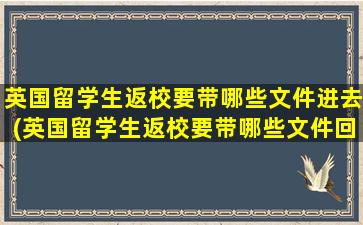 英国留学生返校要带哪些文件进去(英国留学生返校要带哪些文件回国)