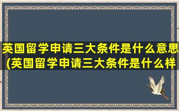 英国留学申请三大条件是什么意思(英国留学申请三大条件是什么样的)