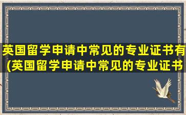 英国留学申请中常见的专业证书有(英国留学申请中常见的专业证书是)