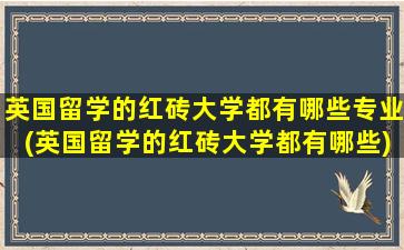 英国留学的红砖大学都有哪些专业(英国留学的红砖大学都有哪些)