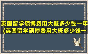 英国留学硕博费用大概多少钱一年(英国留学硕博费用大概多少钱一年)