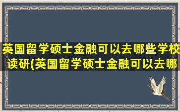 英国留学硕士金融可以去哪些学校读研(英国留学硕士金融可以去哪些学校工作)