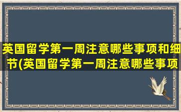 英国留学第一周注意哪些事项和细节(英国留学第一周注意哪些事项和要求)