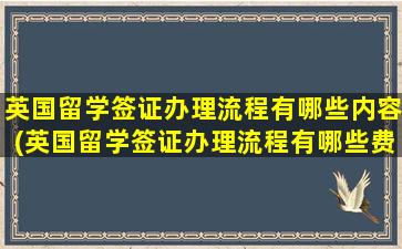 英国留学签证办理流程有哪些内容(英国留学签证办理流程有哪些费用)