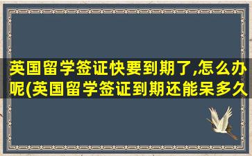 英国留学签证快要到期了,怎么办呢(英国留学签证到期还能呆多久)