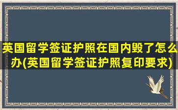 英国留学签证护照在国内毁了怎么办(英国留学签证护照复印要求)