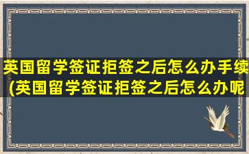 英国留学签证拒签之后怎么办手续(英国留学签证拒签之后怎么办呢)