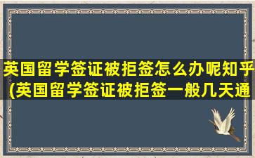 英国留学签证被拒签怎么办呢知乎(英国留学签证被拒签一般几天通知)