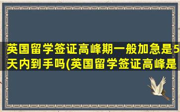 英国留学签证高峰期一般加急是5天内到手吗(英国留学签证高峰是八月份吗)