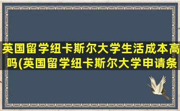 英国留学纽卡斯尔大学生活成本高吗(英国留学纽卡斯尔大学申请条件)