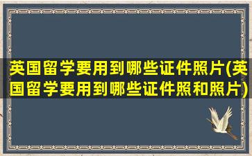 英国留学要用到哪些证件照片(英国留学要用到哪些证件照和照片)