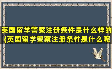 英国留学警察注册条件是什么样的(英国留学警察注册条件是什么呢)