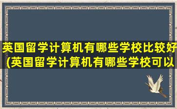 英国留学计算机有哪些学校比较好(英国留学计算机有哪些学校可以读)