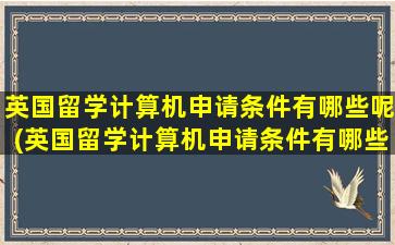 英国留学计算机申请条件有哪些呢(英国留学计算机申请条件有哪些专业)