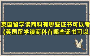 英国留学读商科有哪些证书可以考(英国留学读商科有哪些证书可以拿)