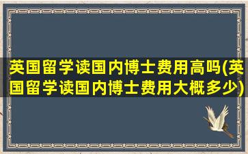 英国留学读国内博士费用高吗(英国留学读国内博士费用大概多少)