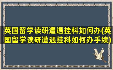 英国留学读研遭遇挂科如何办(英国留学读研遭遇挂科如何办手续)