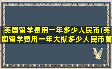 英国留学费用一年多少人民币(英国留学费用一年大概多少人民币高中)