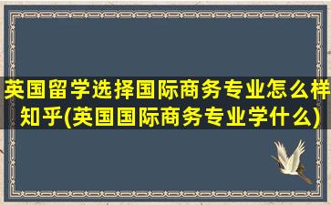 英国留学选择国际商务专业怎么样知乎(英国国际商务专业学什么)